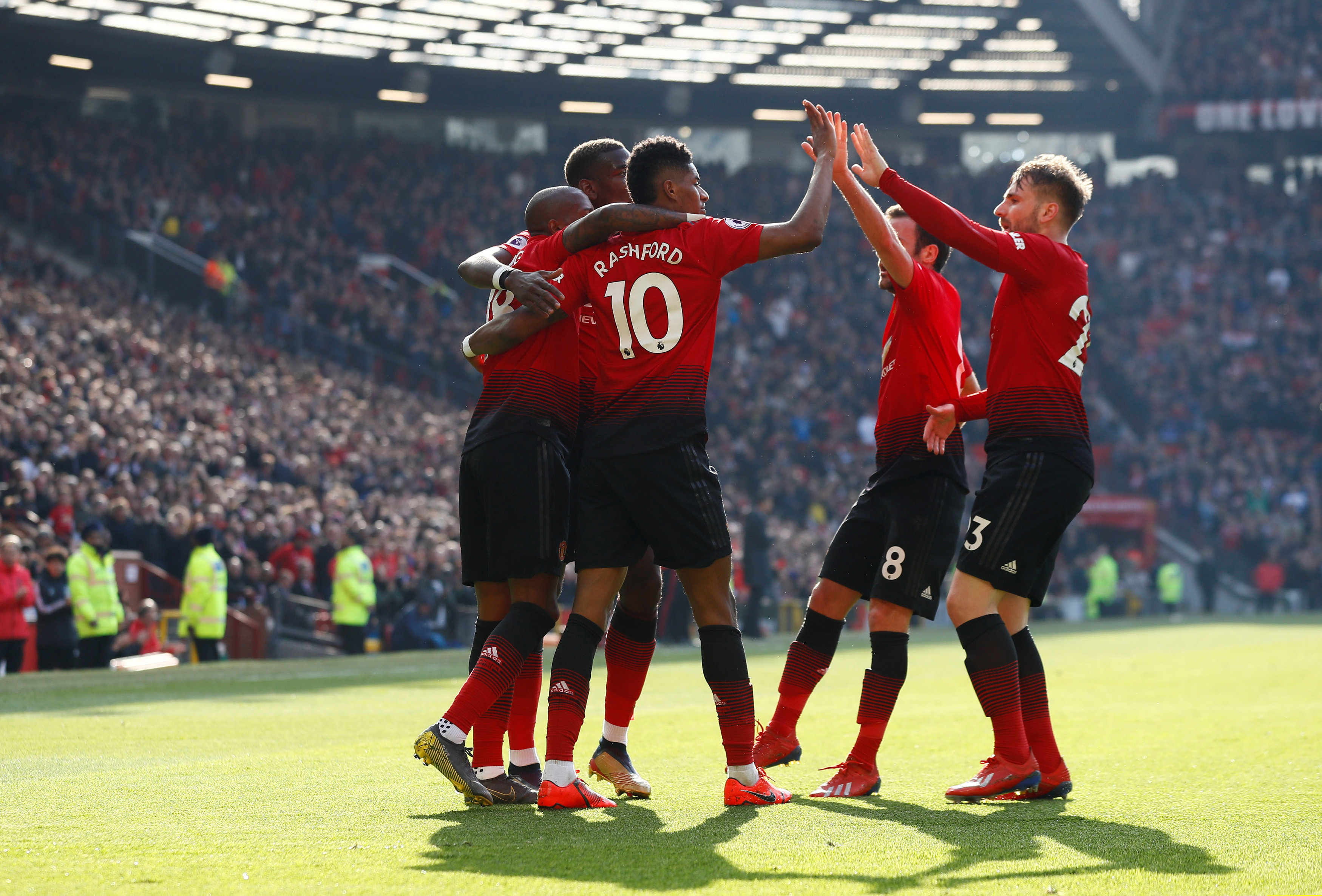 群作为假肢 群作为假肢